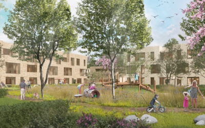 Bomenbeleid Zoetermeer