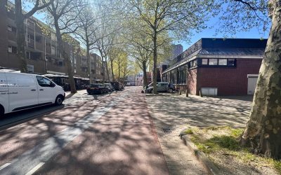 Erfgoedcentrum: steun met duidelijke aandachtspunten